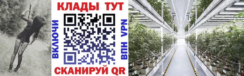 Сколько стоит Тара Галлюциногенные грибы  Героин  Альфа ПВП  МЕФ  Гашиш  Канабис 