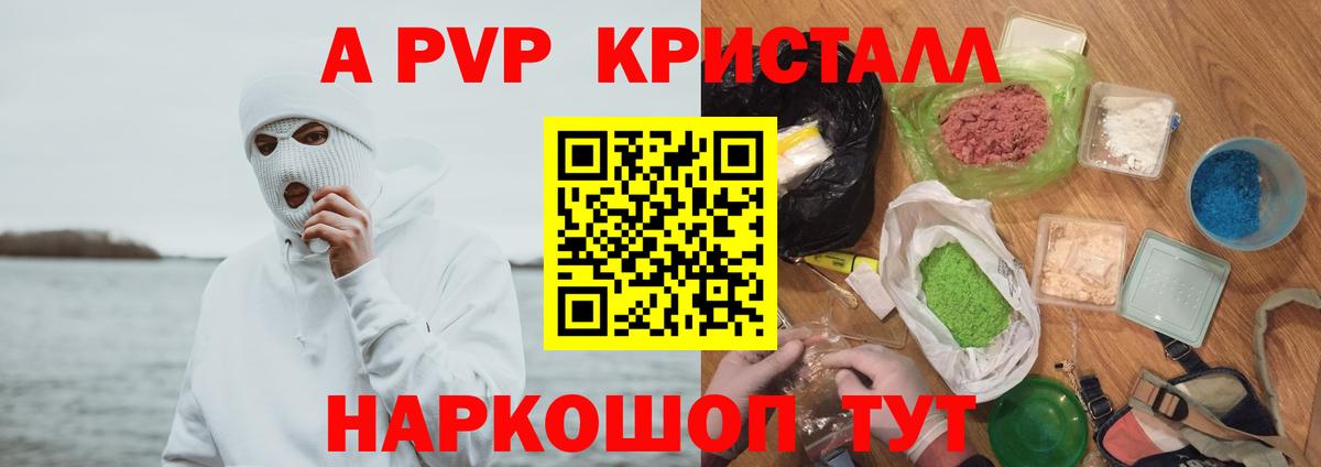 APVP СК Тара