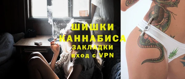 индика Алзамай