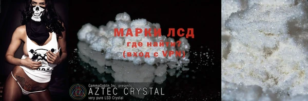 индика Алзамай