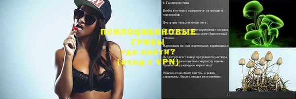 индика Алзамай