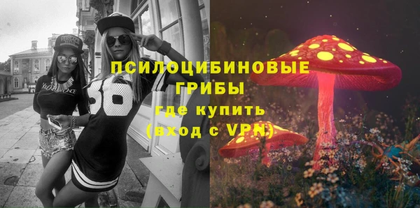 индика Алзамай
