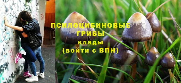 соль ск Алексин