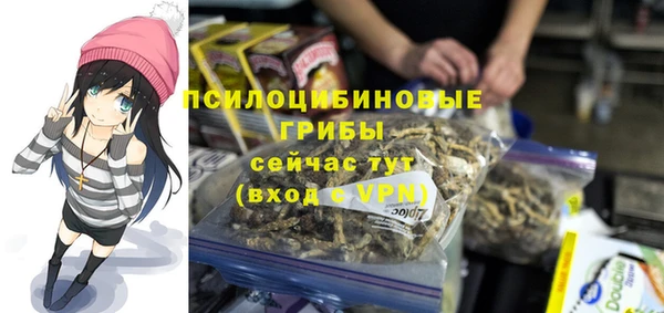соль ск Алексин