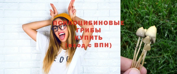 соль курить ск Алексеевка