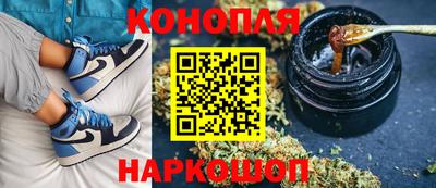 spice Гусев