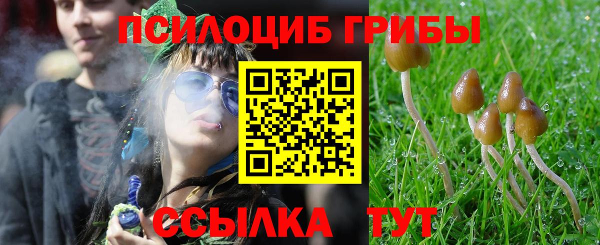 Галлюциногенные грибы Cubensis  Вход с VPN  Галлюциногенные грибы MAGIC MUSHROOMS  Тара 
