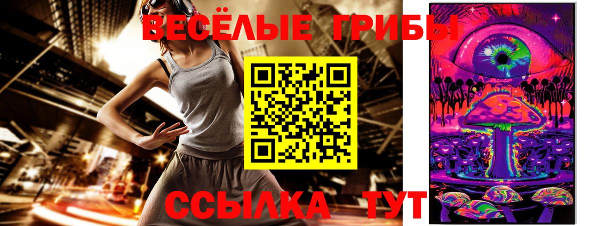 Псилоцибиновые грибы прущие грибы Тара
